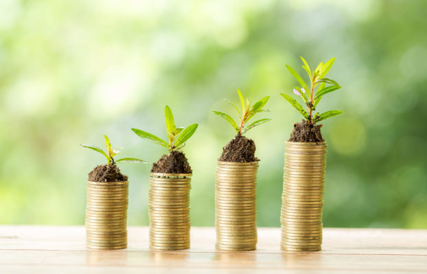 Loi de finances pour 2024 : C3IV, JEI, CII, CIR… ce qu’il faut retenir !